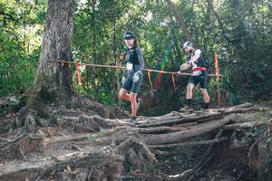 BIB: 
                            <button type="button" onclick="openModal(27747243)" class="btn btn-primary btn-sm float-right btn-popup" data-toggle="modal" data-target=".modal-high-quality">
                        <i class="fas fa-shopping-cart"></i> Add to Cart
                    </button>
                                            <button type="button" onclick="isThisMe(27747243, true)" class="btn btn-success btn-sm float-right btn-popup btn-isme hidden" data-toggle="tooltip" data-placement="bottom" title="นี่คือรูปของคุณใช่ไหม คลิกที่นี่เพื่อเอาเข้าอัลบั้ม">
                        <i class="fas fa-plus"></i> Add to album
                    </button>
                    <button type="button" onclick="isThisMe(27747243, false)" class="btn btn-warning btn-sm float-right btn-popup btn-isnotme hidden">
                        <i class="fas fa-ban"></i> Remove from album
                    </button>